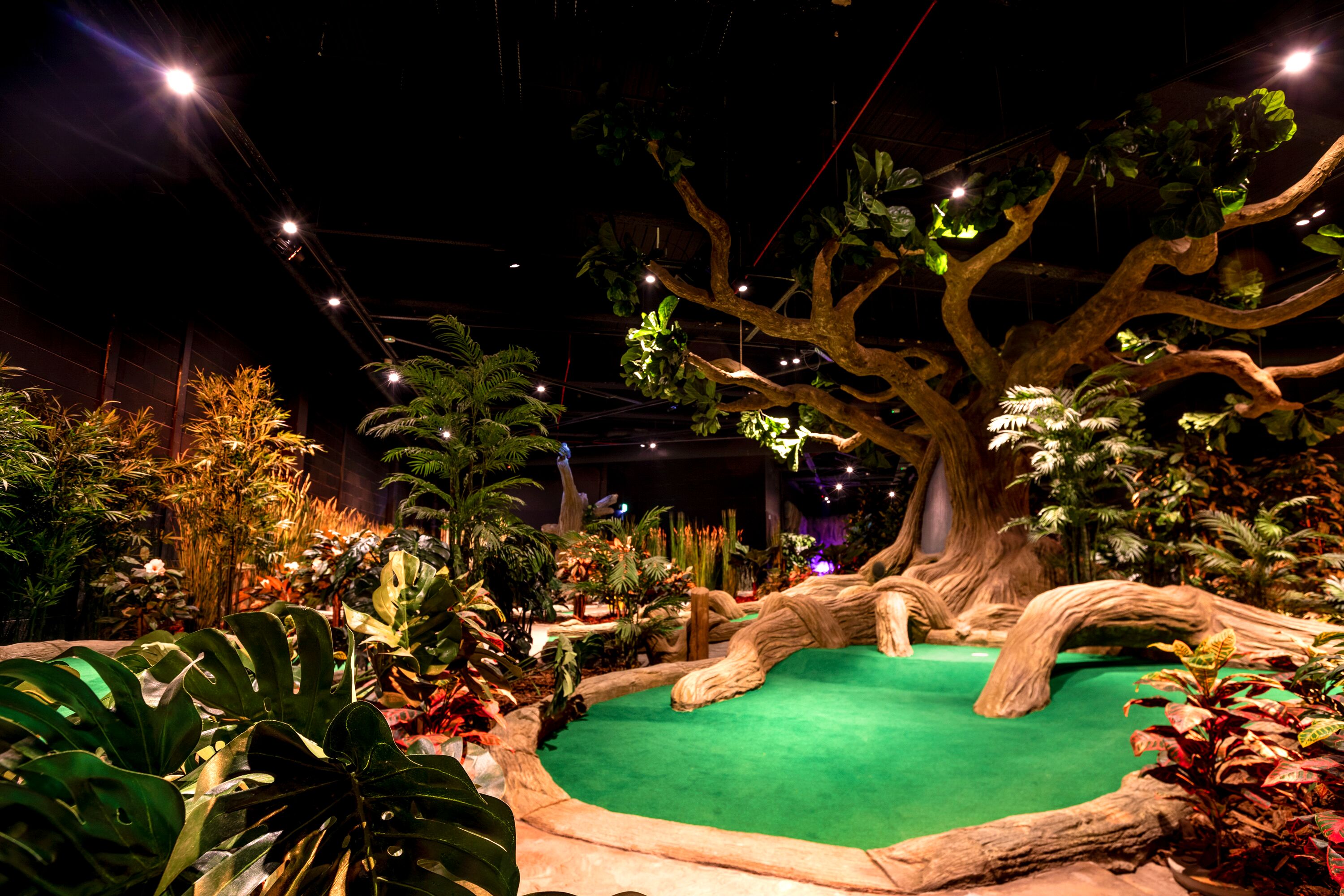 treetop golf leicester