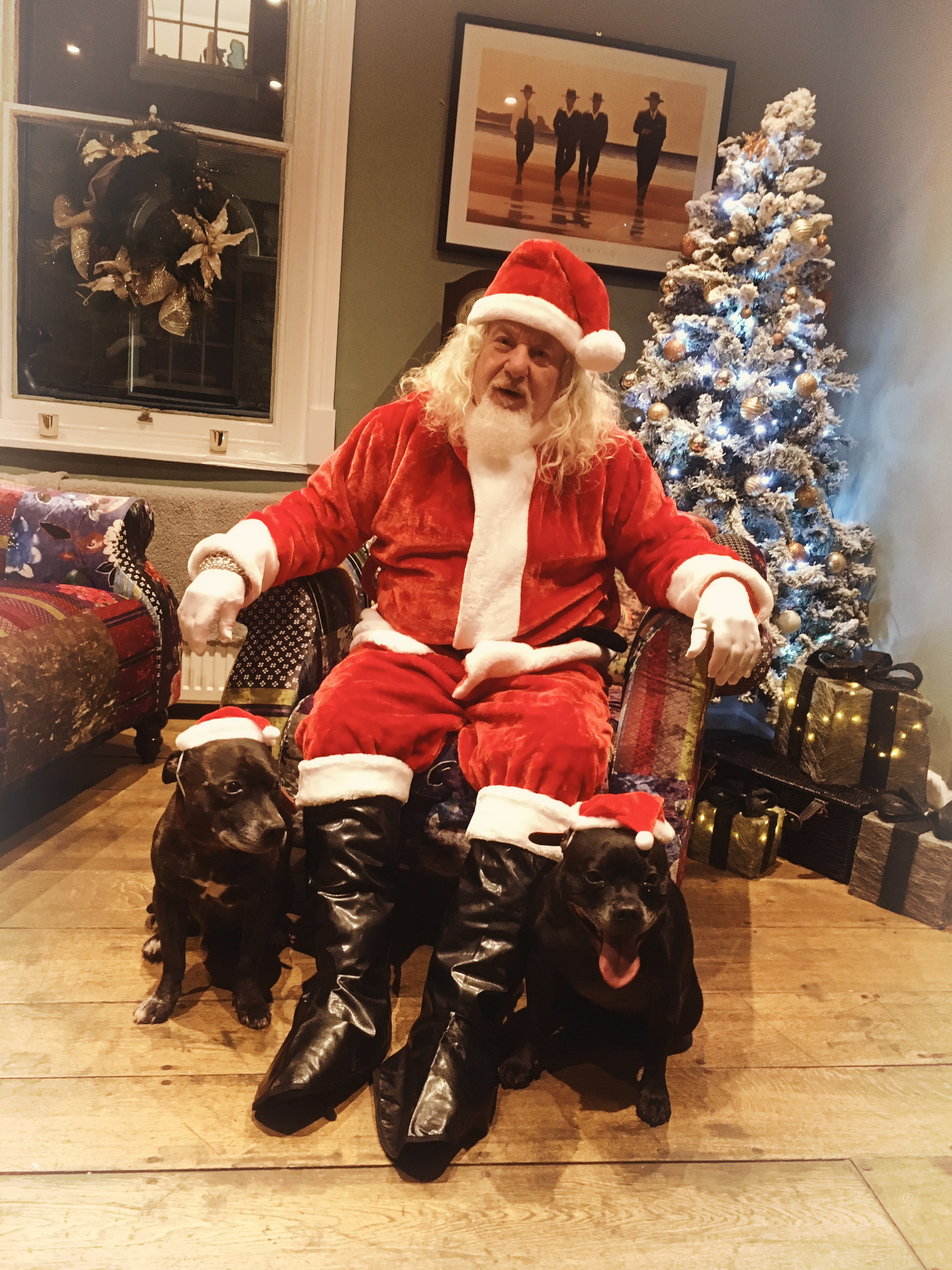 Santa dogs leicester